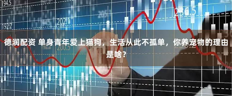 德润配资 单身青年爱上猫狗，生活从此不孤单，你养宠物的理由是啥？