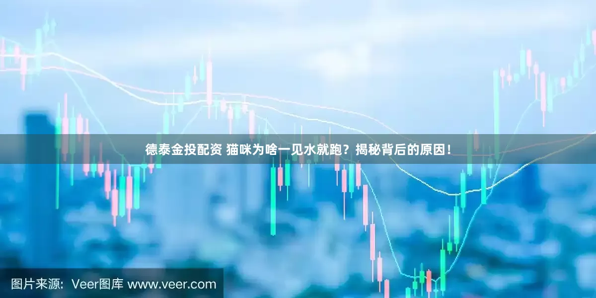 德泰金投配资 猫咪为啥一见水就跑？揭秘背后的原因！