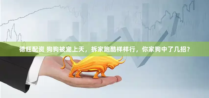德旺配资 狗狗被宠上天，拆家跑酷样样行，你家狗中了几招？
