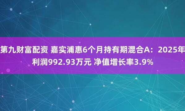 第九财富配资 嘉实浦惠6个月持有期混合A:2025年利润992.93万元 净值增长率3.9%